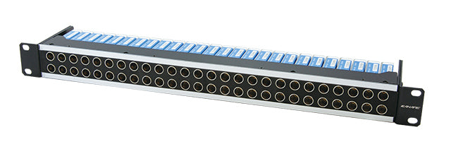 24DV-7（紫）