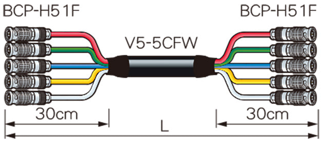 5VS05-5CFWH