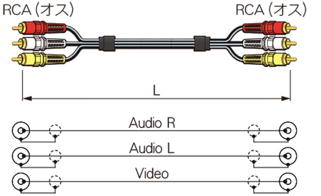 3RCS10