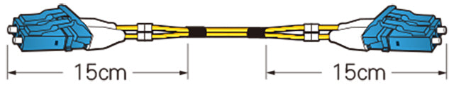 2FSZ2S005A-DLS