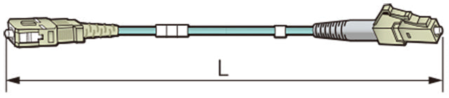 FM32C005-SS/LS